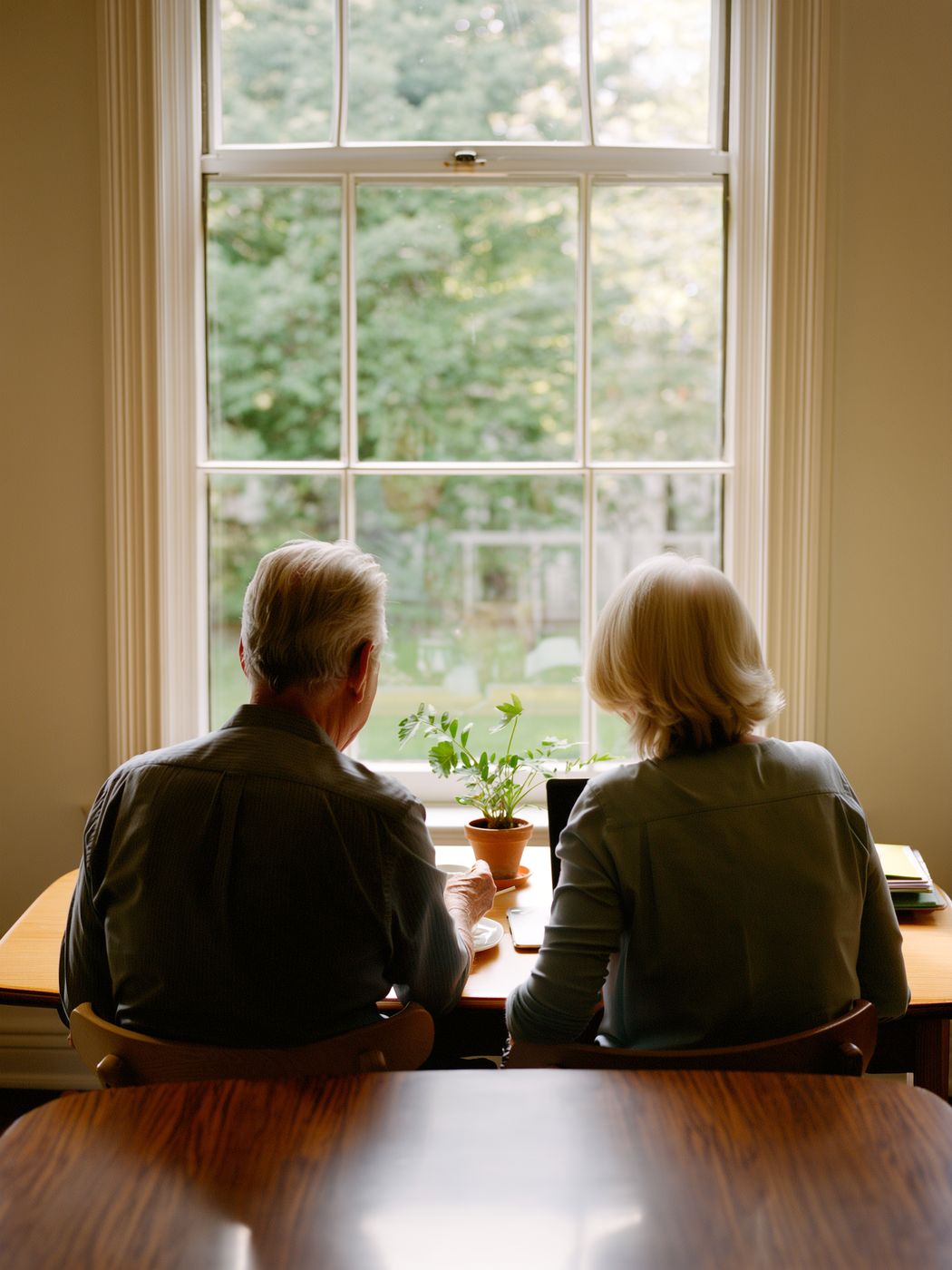 Older couple at a window with a laptop and small plant